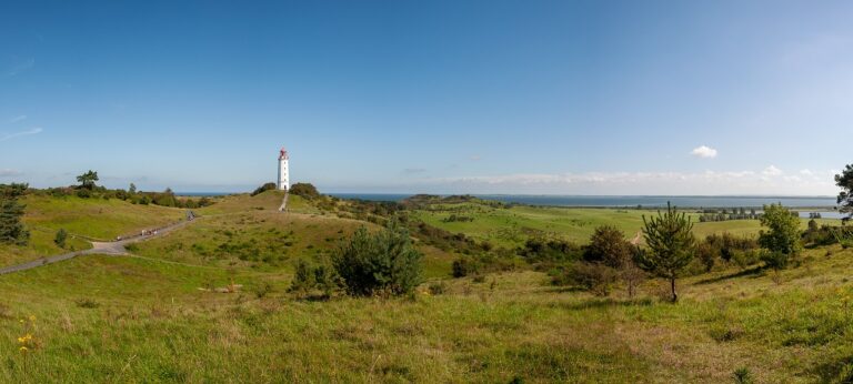 Schiffausflug mit der Schulklasse nach Hiddensee