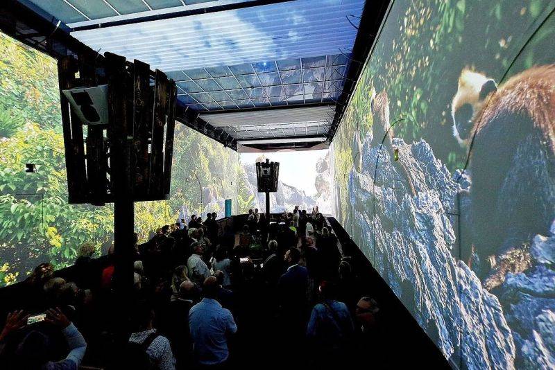 360-Panorama im Entdeckerhaus Arche des Zoos Leipzig. An die Wände eine Dschungellandschaft in Vietnam projeziert
